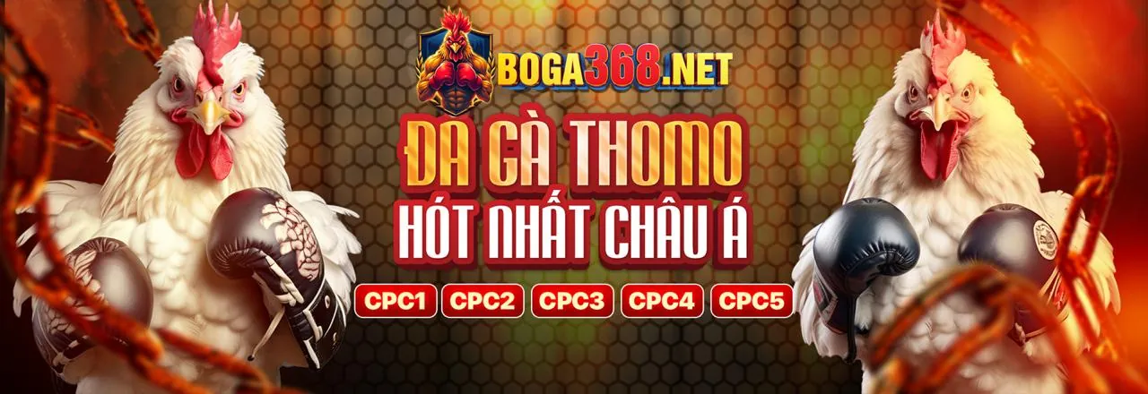 Hình ảnh đại diện về cờ bạc có trách nhiệm tại one88